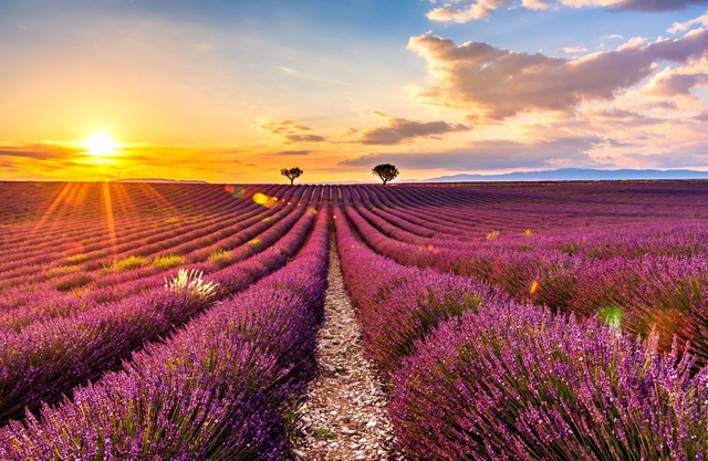 Modern air-conditioned villa with its swimming pool and breathtaking view