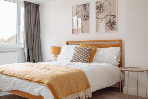 Modern Bright Spacious Home