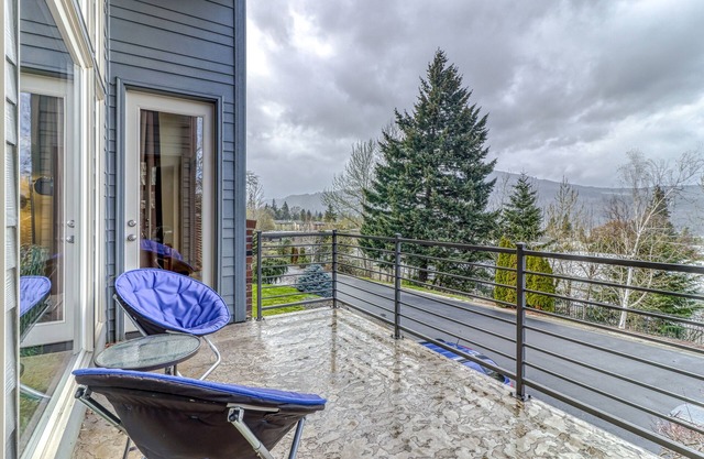 Modern dog-friendly home w/stunning Mt. Adams view - walk downtown