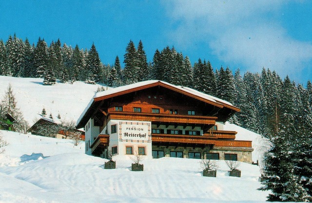 Modern holiday home near the ski area