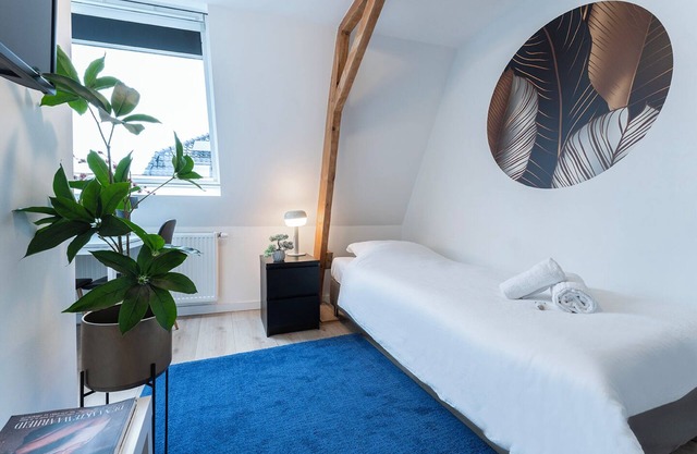 Modern Studio with All Amenities in a Top Location with free street-parking.