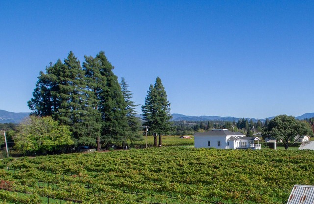 Modern Vineyard Farmhouse - Close to Downtown Healdsburg - 4 BD/4 Ensuite Baths