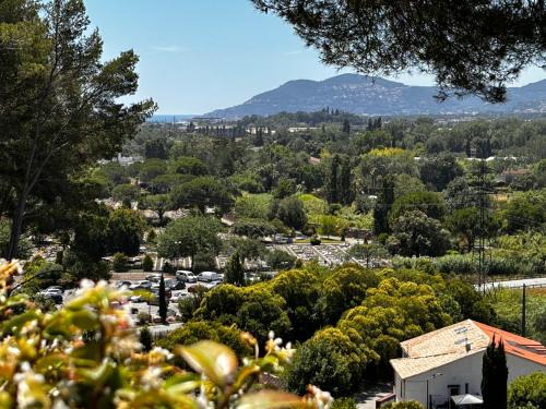 Mondello Hotellerie&Consultant : Appartement de standing 47m2 avec piscine Cannes