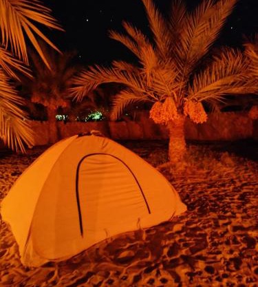 Monica Camp Siwa مونيكا كامب سيوة