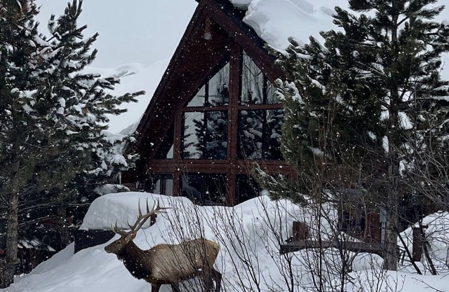 Moose Meadows Lodge - Amazing Views, Great Room, Game Room, Theater, Garage
