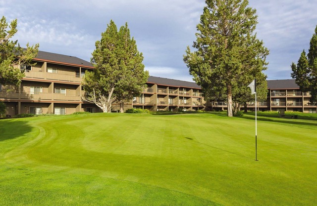 More fun to have than there is time for !