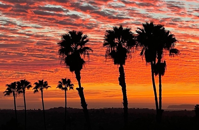 Mountain and Ocean View 4 BR/3.5 BA San Diego Estate