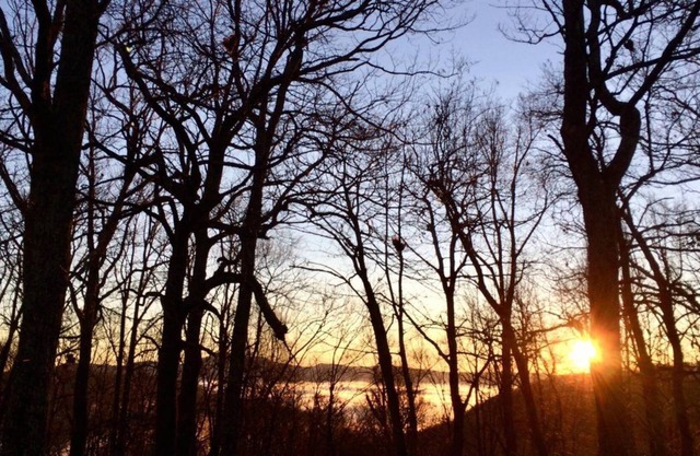 Mountain cabin fiber internet perfect for remote work, spiritual, health getaway