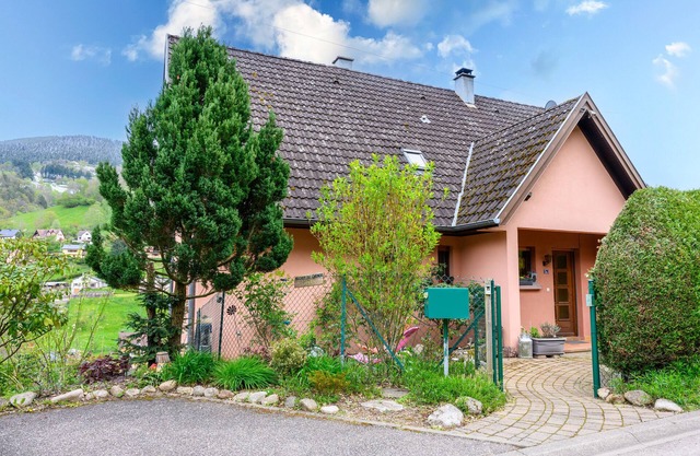 Mountain Gîte – Vosges Alsaciennes with Mountain View, Shared Terrace and Wi-Fi