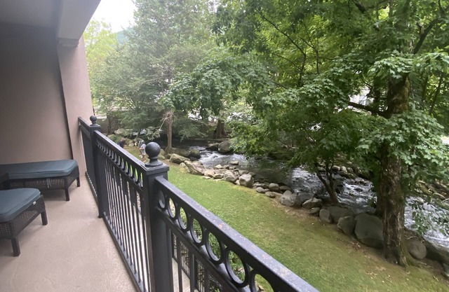 MOUNTAIN VIBES 2BR 1ST FLOOR CONDO ON ROARING FORK CREEK-UNLOAD WALK TO DOWNTOWN