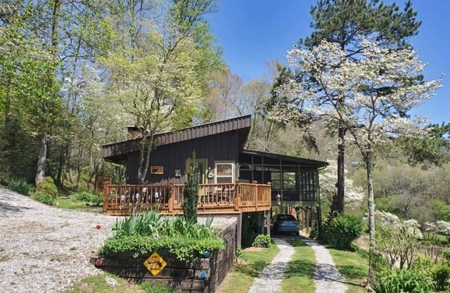 Mountain view cabin, fully remodeled, huge screen in porch with panoramic view.