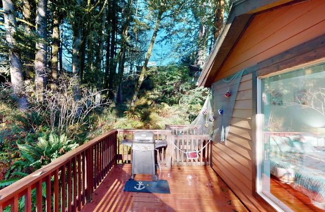 Mountain view home in an oceanfront community above Whaleshead Beach