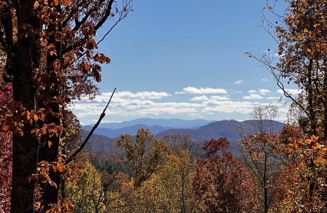 🪵 Murphy Cabin 🏔 Mountain View/2Bed-2Bath/6 guests/10mins to town