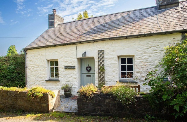 Nantyblodau Bach, Newport
