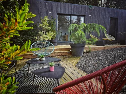 Nature break near Disney