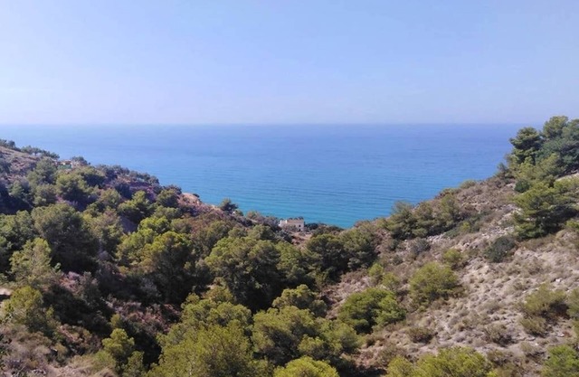 Nature, Sea and amazing views at Mirador del Cañuelo