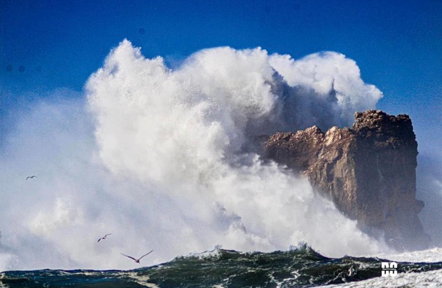 Nazaré WSL Experience 2025