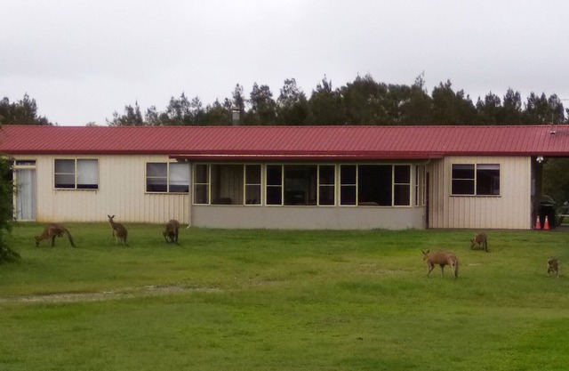 Near and Far Yamba - Farmstay - Family & Dog Friendly