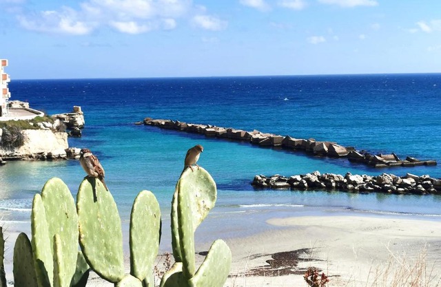 Nel cuore di Otranto