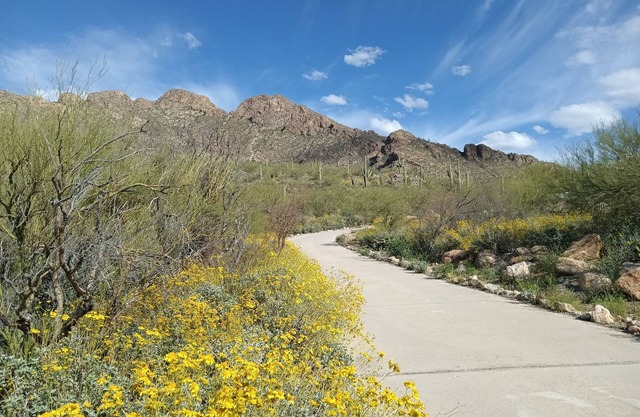 Nestled on Pusch Ridge Mountain in Oro Valley with full kitchen