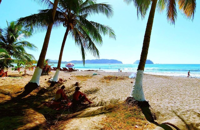 NEW! #1 Ocean Beaches Mountains Adventure in the Jungle