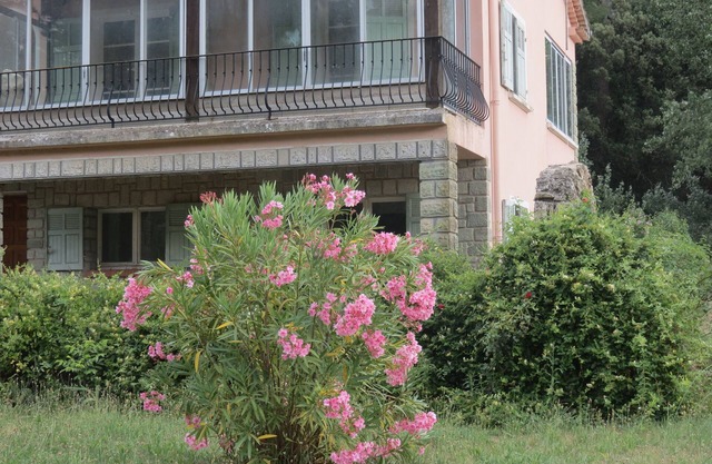 NEW EGLANTINE STUDIO GITE