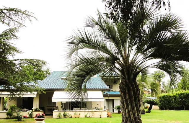 New Entry: Villa Forte dei Marmi in Versilia