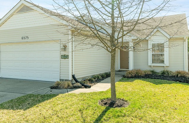 New home w huge yard