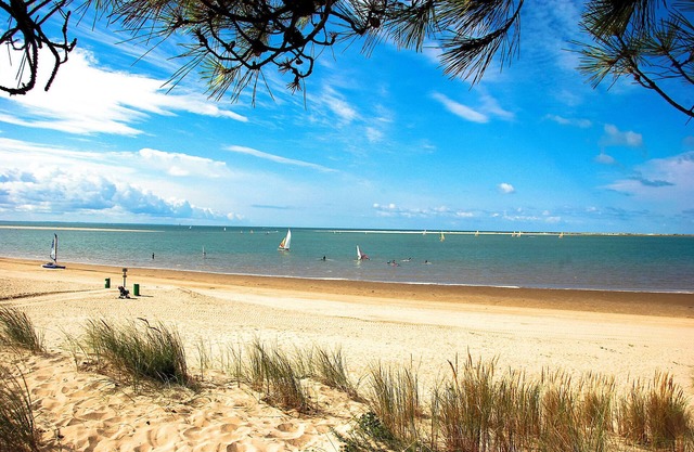 New House quality delivery near beach wild coast and big coast