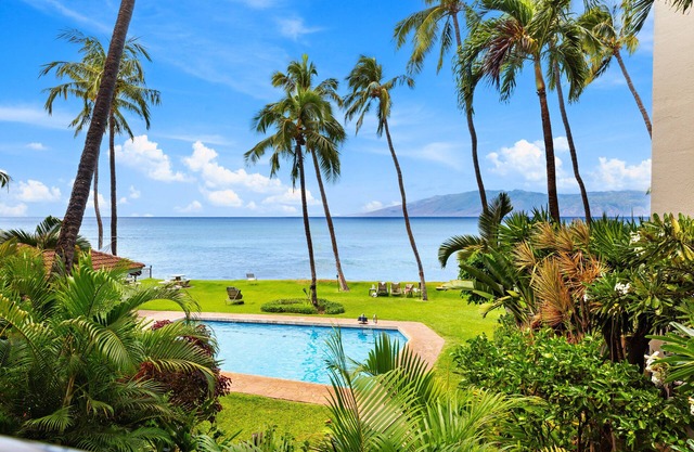 New Listing! The Maui Sea Turtle Condo