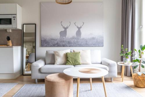 New spacious 1br with free parking on the street