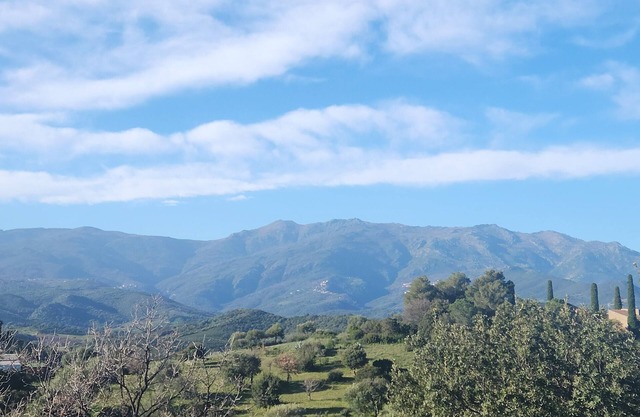 New studio enjoying all-day sunshine with terrace and private garden
