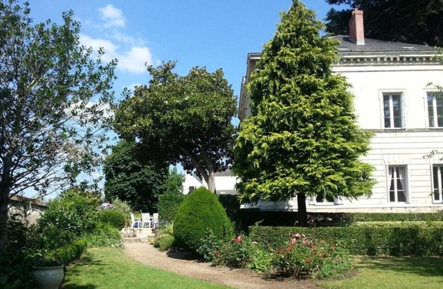 New! VILLA DE LOIRE ♥ sumptuous views of the château and river.