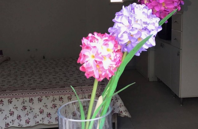 Nice apartment San Nicola Arcella