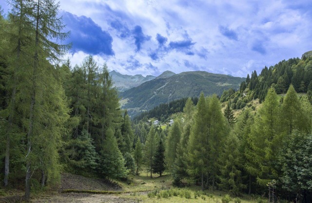 Nice apartment for 3 people with WIFI, TV, terrace and pets allowed