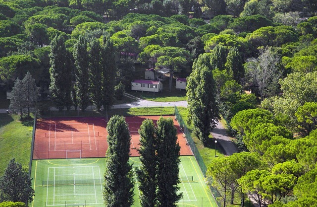 Nice apartment in villa for 6 people with pool, WIFI, terrace and pets allowed