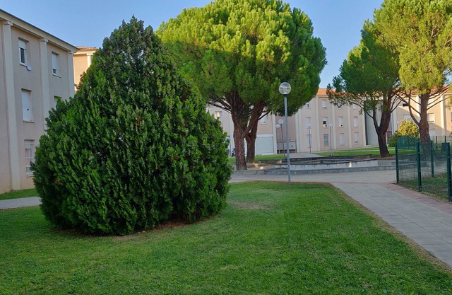 Nice flat 10 minutes from the ramparts of Avignon