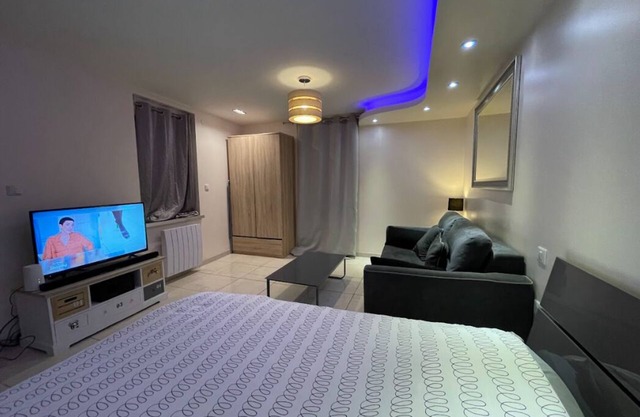 Nice furnished and equipped F1 with shared courtyard in the city center