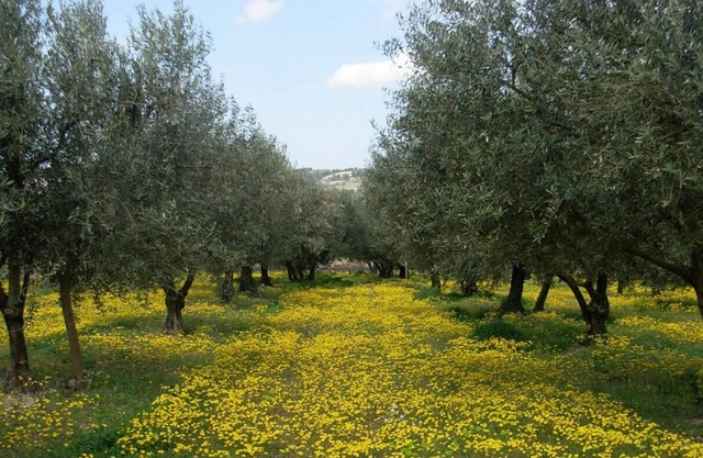 Nice studio in the city center - Nyons