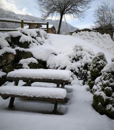 Nice T2 with south facing terrace Flumet