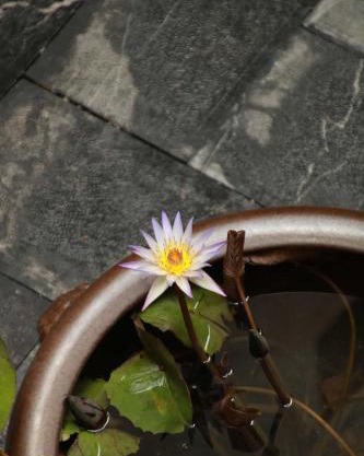 NO.9 Alley Yuchen Res Dence