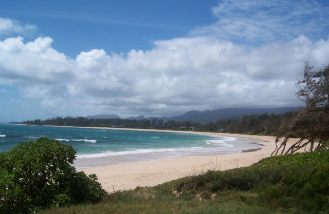 North Shore Family Home - Walk to the beach