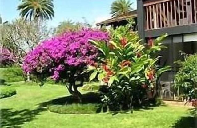 Northshore Hawaiian Experience