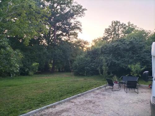 Nuit Insolite Totoro