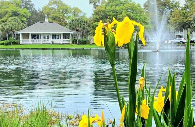 O1 Two BR townhome in Ocean Walk with 1 king, 1 queen bed. Recently updated.