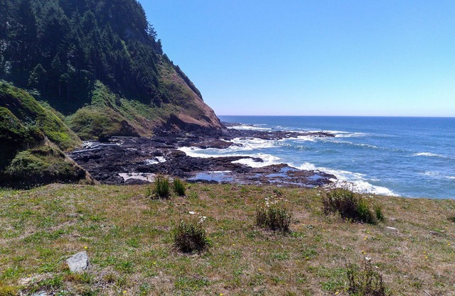 Ocean Front with Spectacular Ocean Views! Fireplace! Dog Friendly!