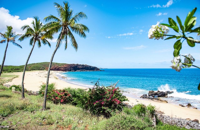 Ocean View, Ground-Floor Condo w/Lanai, WiFi, Shared Pool - Walk to Beach