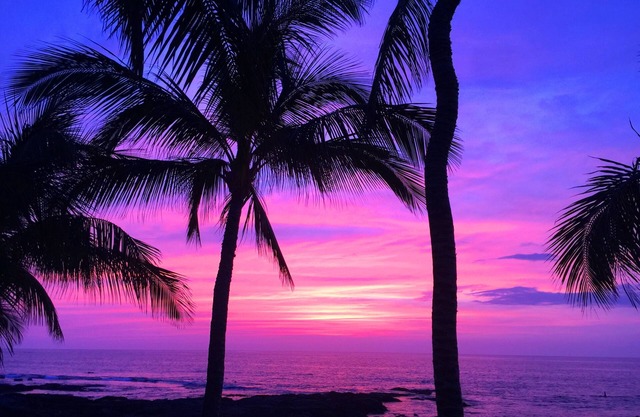 OCEANFRONT! Cottage is located on a beautiful sandy beach!n