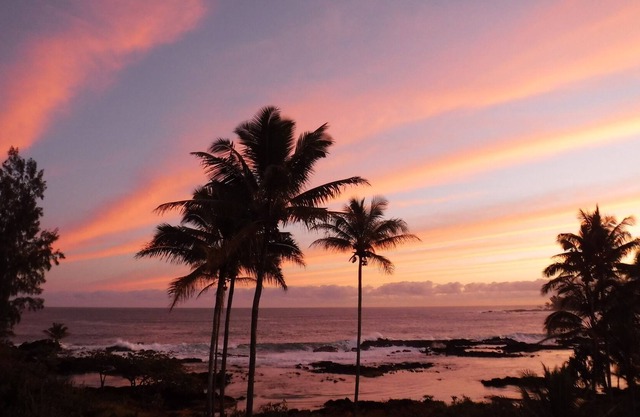 Oceanside Delight, on Hilo beach , 180 degree VIEWS !!!