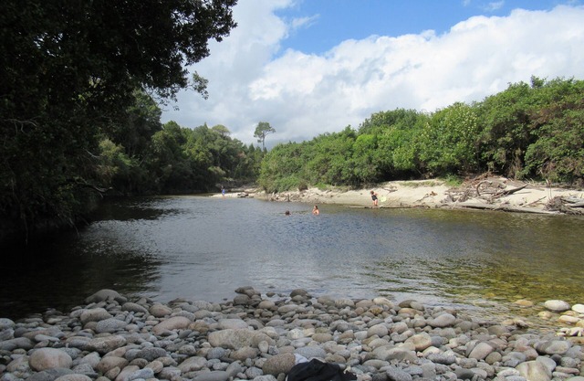 Off grid holiday, immersed in native flora and fauna